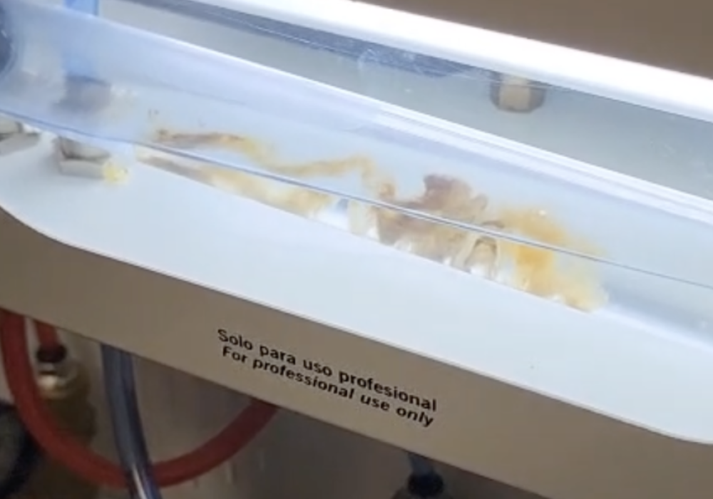 Screenshot 2026-02-08 at 12.11.30 am